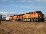 BNSF 4868 East